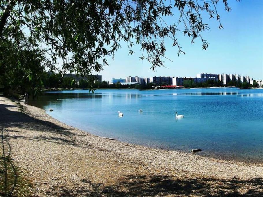 Lake Apartment, 2X Free Garage, 10 Mins To Centre Bratislava Extérieur photo